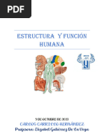 Estructura y Función Humana