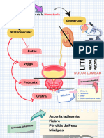 Glomerular