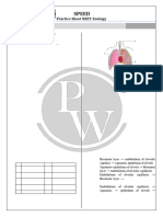 Breathing and Exchange of Gases - Practice Sheet - Arjuna NEET 2024