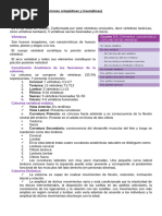 Columna Vertebral (Afecciones Ortopédicas y Traumáticas)