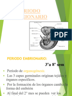 Periodo Embrionario y Fetal