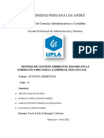 MONOGRAFIA TRABAJO FINAL Sistema de Gestión Medio Ambiental