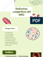 Defectos Congénitos Del SNC