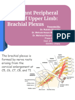 Brachial Plexus and Important Peripheral Nerve of Upper Limb-New