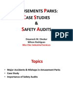 Amusement Parks Case Studies Safety Audits