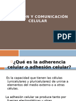 Adhesión y Comunicación Celular