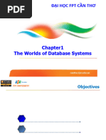 Chapter 1 - The Worlds of Database Systems