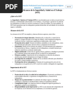 Concepto y Alcances de La Seguridad y Salud en El Trabajo