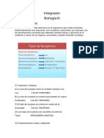 Integrador 3RO AÑO