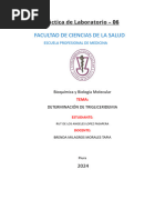 Informe Practica Trigliceridos S6