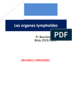 01 - Les Organes Lymphoïdes