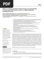 Effect of Arbuscular Mycorrhizal Fungi On Lowland Rice Growth and Yield (Oryza Sativa L - Madhushan Et Al 2023