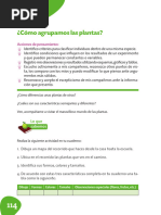 Como Agrupamos Las Plantas. P4 - 1