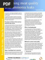 Ammonia Leaks