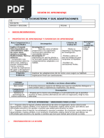 Ecosistema y Adaptaciones