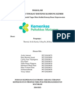 Makalah Pemantauan Distensi Kandung Kemih Kel 2 Reg