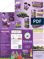 Brochure Tribalveda New Small Feb2024