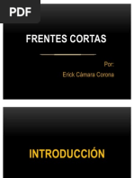 Frentes Cortas