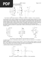 SCR Resumo