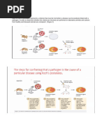 Drug Discovery Reviewer