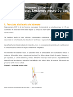 Traumatología M3-4