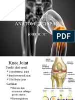 Anatomi Terapan Knee Joint