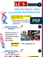 PHOTOSYNTHESIS AND CELLULAR RESPIRATION