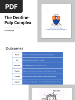 10-Dentin-Pulp Complex