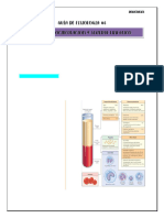 Microcirculacion y Sistema Linfatico