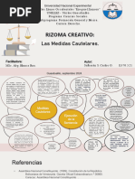 SULBARAN, CARLOS - Rizoma - MIVDCA