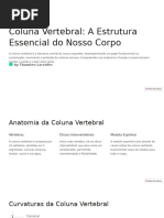 Coluna Vertebral