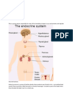 18978_Health Education SS3