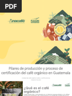 Pilares Produccion Procesos Certificacion Organica