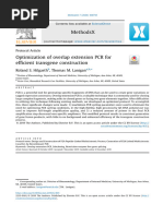 Optimization of Overlap Extension PCR For Efficient Transgene Construction