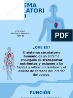 Sistema Circulatorio