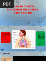 Evaluación Clínico Funcional Del Sistema Respiratorio