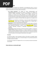 Patogenia y Patología Salmonella