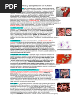 Que Bacterias y Potogenos para El Ser Humano