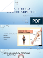 Osteologia Miembro