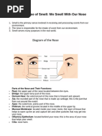 Five Senses Notes