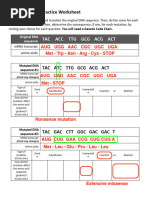 Dna Mutations Practice Worksheet Answers