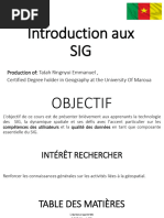 Introduction Aux SIG