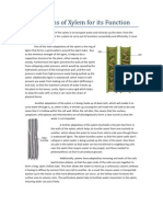 Adaptations of Xylem