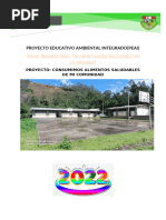 Proyecto Educativo Ambiental Integrado