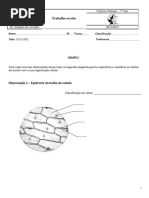 Relatório Ccélula e Infusão