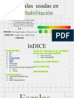 Escalas Usadas en Rehabilitación