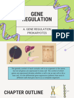 Gene Regulation Prokaryotes