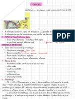 Meningite 