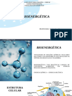 BIOENERGÉTICA