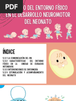 Impacto Del Entorno Físico en El Desarrollo Neuromotor Del Neonato